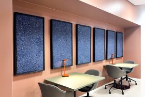 Kiø Douglas akustik plade